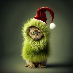 a cat in a green furry outfit with a santa hat