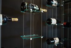 several bottles of wine are hanging on the wall