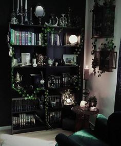 a living room filled with furniture and lots of bookshelves covered in greenery