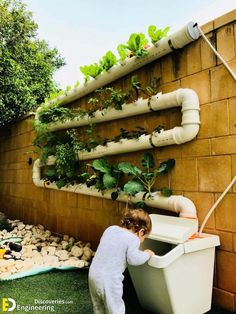 Everything You Need To know About Hydroponics - Engineering Discoveries Homemade Hydroponics, Plants Without Soil, Aquaponics Diy, Hydroponic Farming, Inside Garden, Aquaponic Gardening