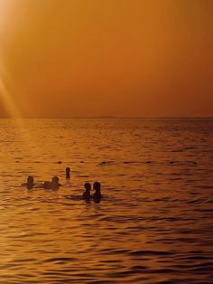 some people are swimming in the water at sunset or dawn with their backs turned to the camera