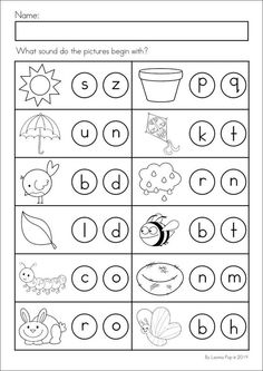 worksheet for beginning and ending the letter d with pictures to be colored in