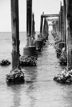 an old wooden pier with seaweed growing on it's sides in the ocean