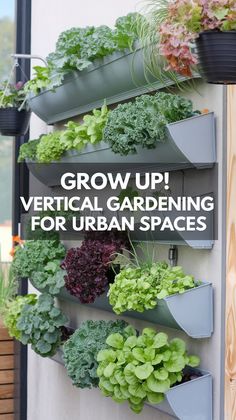 Vertical gardening setup on a wall with lush, green and red leafy vegetables. Text reads "Grow Up! Vertical Gardening for Urban Spaces."