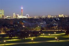 the city skyline is lit up at night, with lights shining on trees and grass