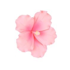 a pink flower on a white background