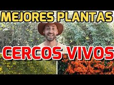 a man wearing a hat and standing in front of some flowers with the words merores plantas cero's vios