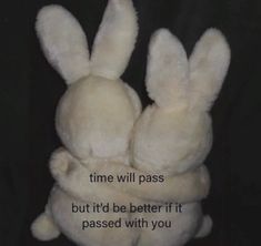 two white stuffed animals with the words time will pass but it'd be better if it passed with you