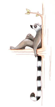 a drawing of a raccoon sitting on top of a tree branch with leaves