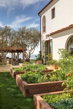 an outdoor garden area with various plants and vegetables