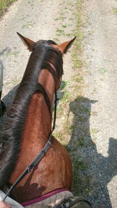 a brown horse standing on top of a dirt road next to a person riding a motorcycle