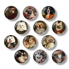 a bunch of dogs that are in some buttons