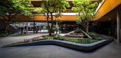 an outdoor courtyard with trees and plants on the ground