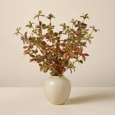 a white vase filled with green and red plants