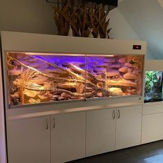 a fish tank in the middle of a room