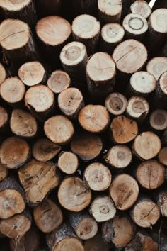 wood logs stacked on top of each other in a pile with the tops cut off