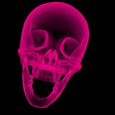 an x - ray image of a human skull with its mouth open