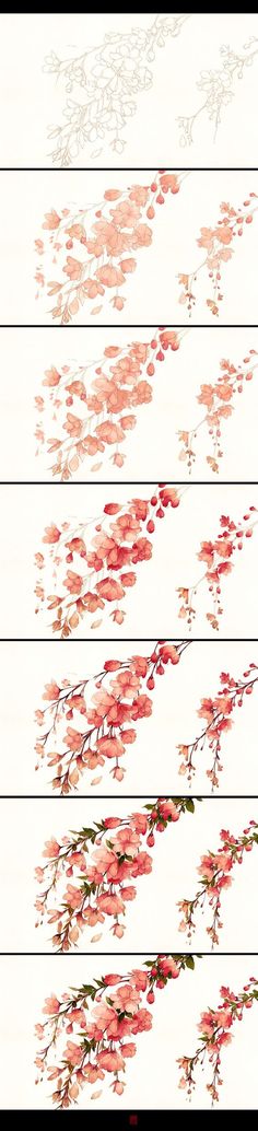 four different types of flowers are shown in this graphic art work, each with pink and green leaves