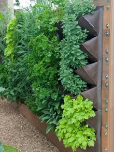 an image of a garden with plants growing in the planter box and on the fence