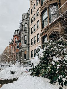 snow covers the ground in front of buildings on a street corner with trees and bushes