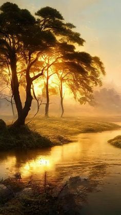 the sun is setting over a river with trees