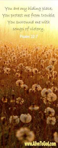 a field full of dandelions with the words, you are my hiding place