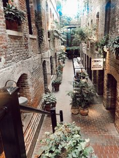 an alleyway with potted plants and signs on the buildings walls, along with brick walkways