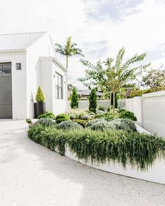 a white house with plants in the front yard