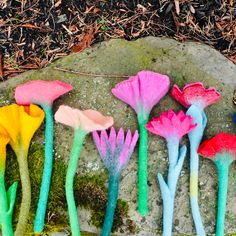 five different colored flowers are placed on a rock