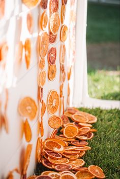 orange slices are lined up on the grass next to a wall that has been painted