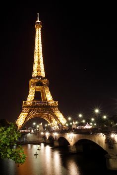 the eiffel tower lit up at night with lights reflecting in the water below