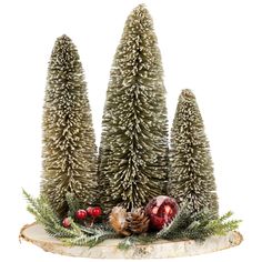 three small pine trees are sitting on a piece of wood with berries and fir cones