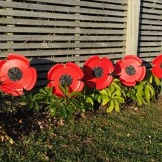 some red flowers are in the grass by a fence and wooden slatted fence