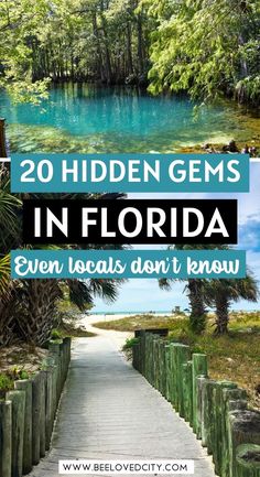 a path leading to the beach with text overlay that reads, 20 hidden gems in florida even locals don't know