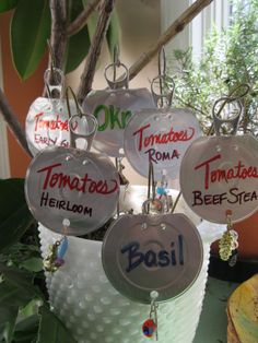 several glass ornaments hanging from a tree in a room with plants and potted plant