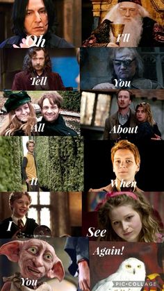 the many faces of harry potter from harry potter and hermilan, which are all in