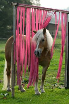 a brown horse standing next to a pink pole on top of a lush green field