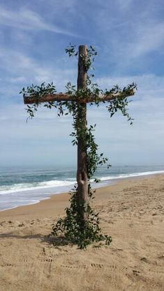 a wooden cross sitting on top of a sandy beach next to the ocean with vines growing around it