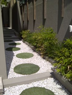 an outdoor garden with stepping stones and grass