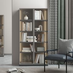 a living room filled with furniture and a book shelf