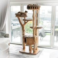 a cat tree in the middle of a living room