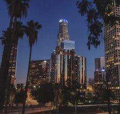 the city skyline is lit up at night with palm trees and skyscrapers in the foreground