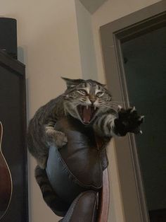 a cat that is sitting on top of a leather chair with its mouth wide open