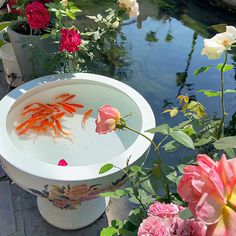 there are many flowers and plants in the water