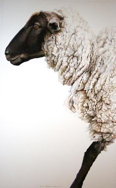 a painting of a sheep with wool on it's back legs and head, standing in front of a white background