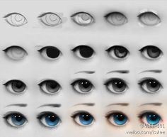 an image of many different types of eyes