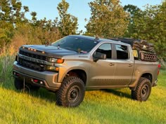 a silver truck parked on top of a grass covered field next to trees and bushes