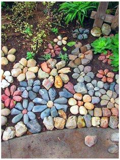 a garden with rocks and plants on the ground