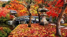 a bridge over a river surrounded by trees with fall leaves on the ground and in front of it