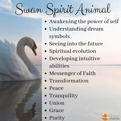 the swan spirit animal with its name on it's back side and description below